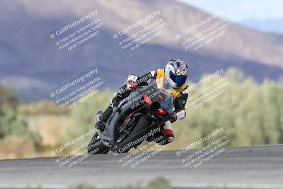 media/Nov-16-2025-Race Pace (Sun) [[8c5fa54630]]/Non Verified Riders (1st 20 Minutes)/7-Turn 9 Entry (210pm)/